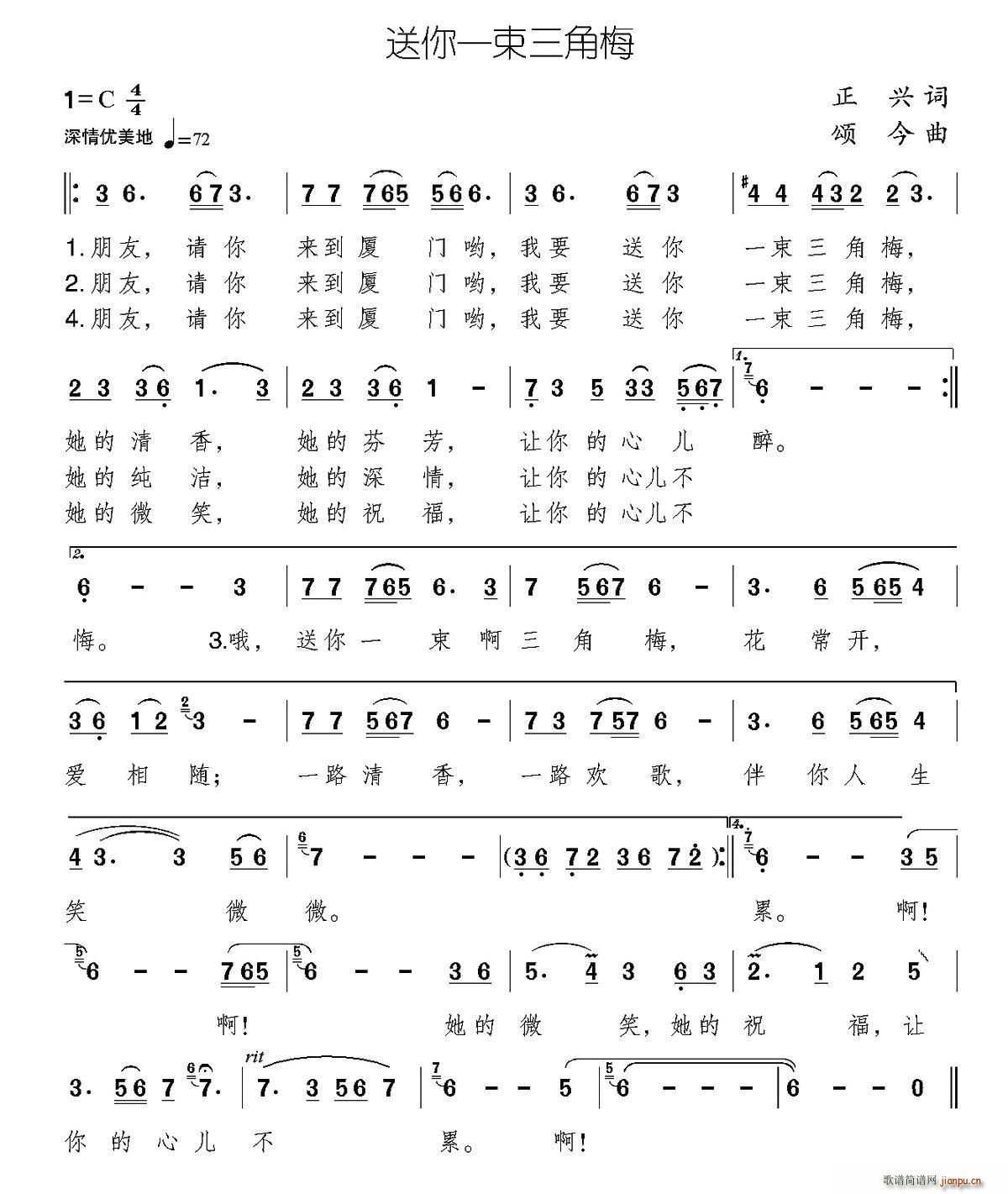 送你一束三角梅(七字歌谱)1