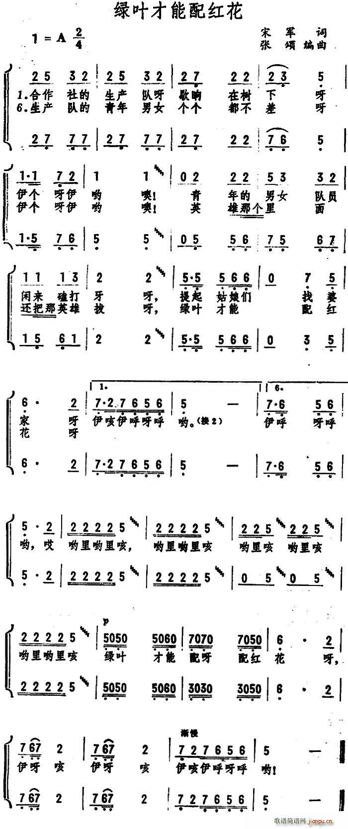 绿叶才能配红花(七字歌谱)1