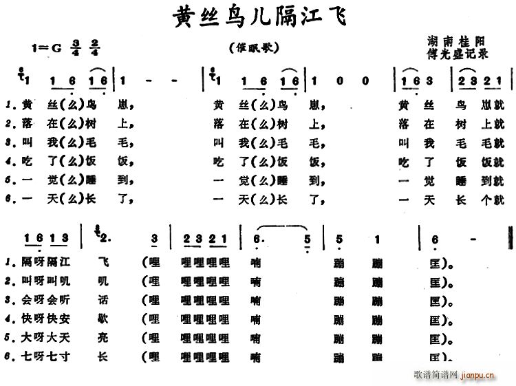 黄丝鸟儿隔江飞(七字歌谱)1