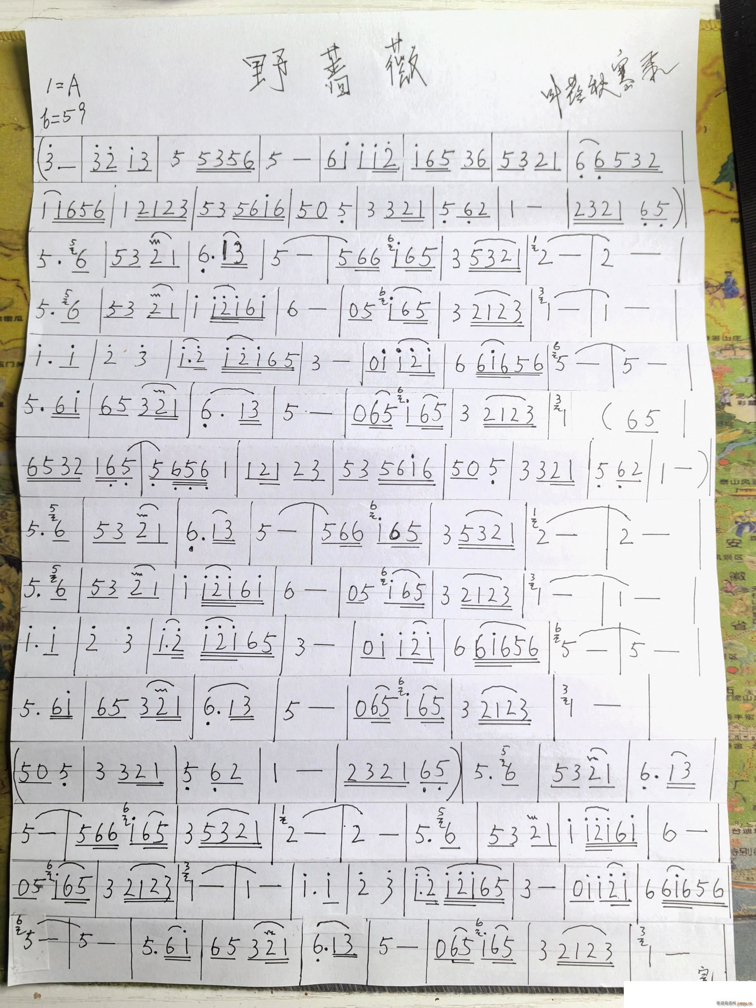 野蔷薇 韩国(六字歌谱)1