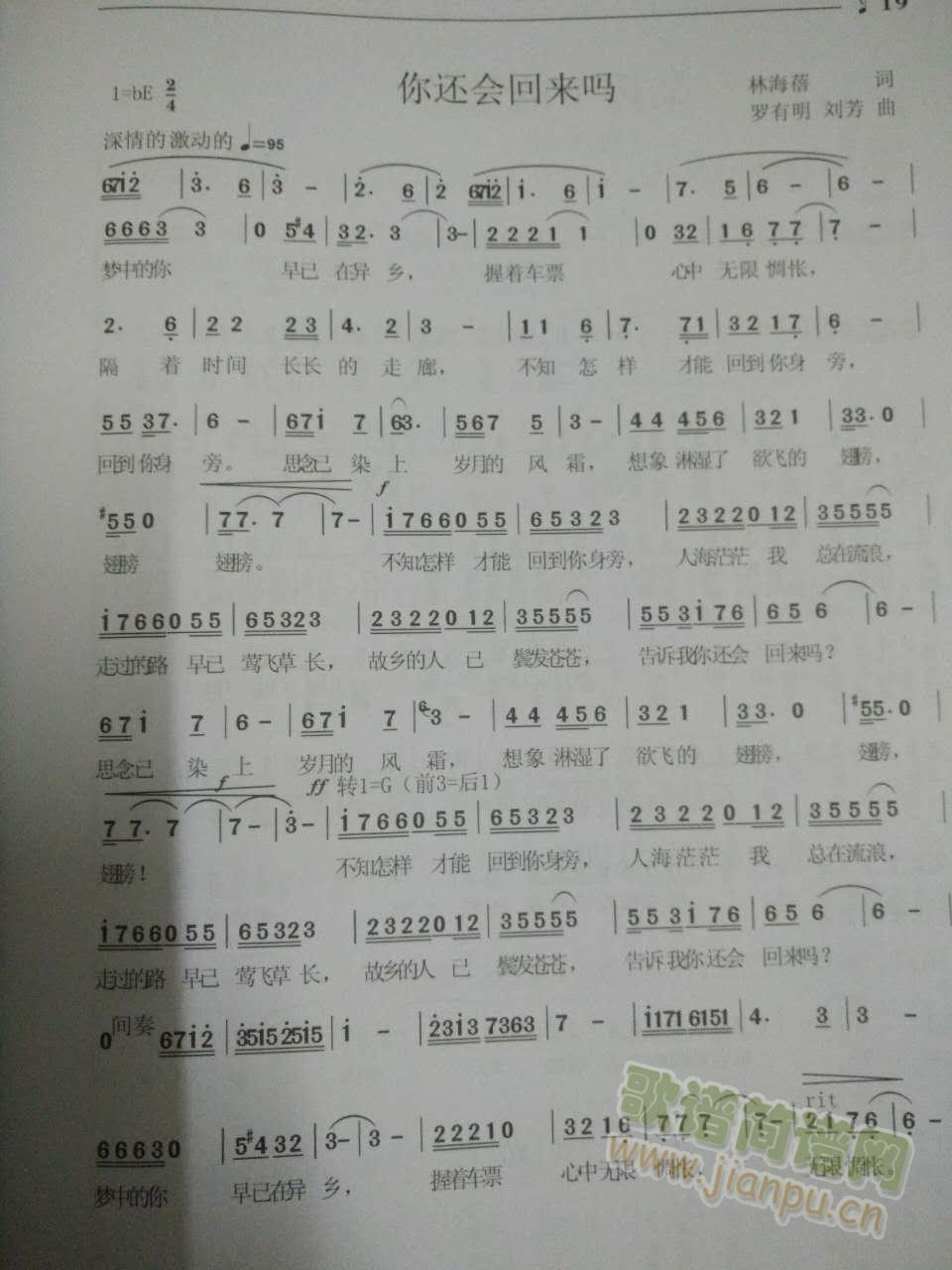 你还会回来吗(六字歌谱)1
