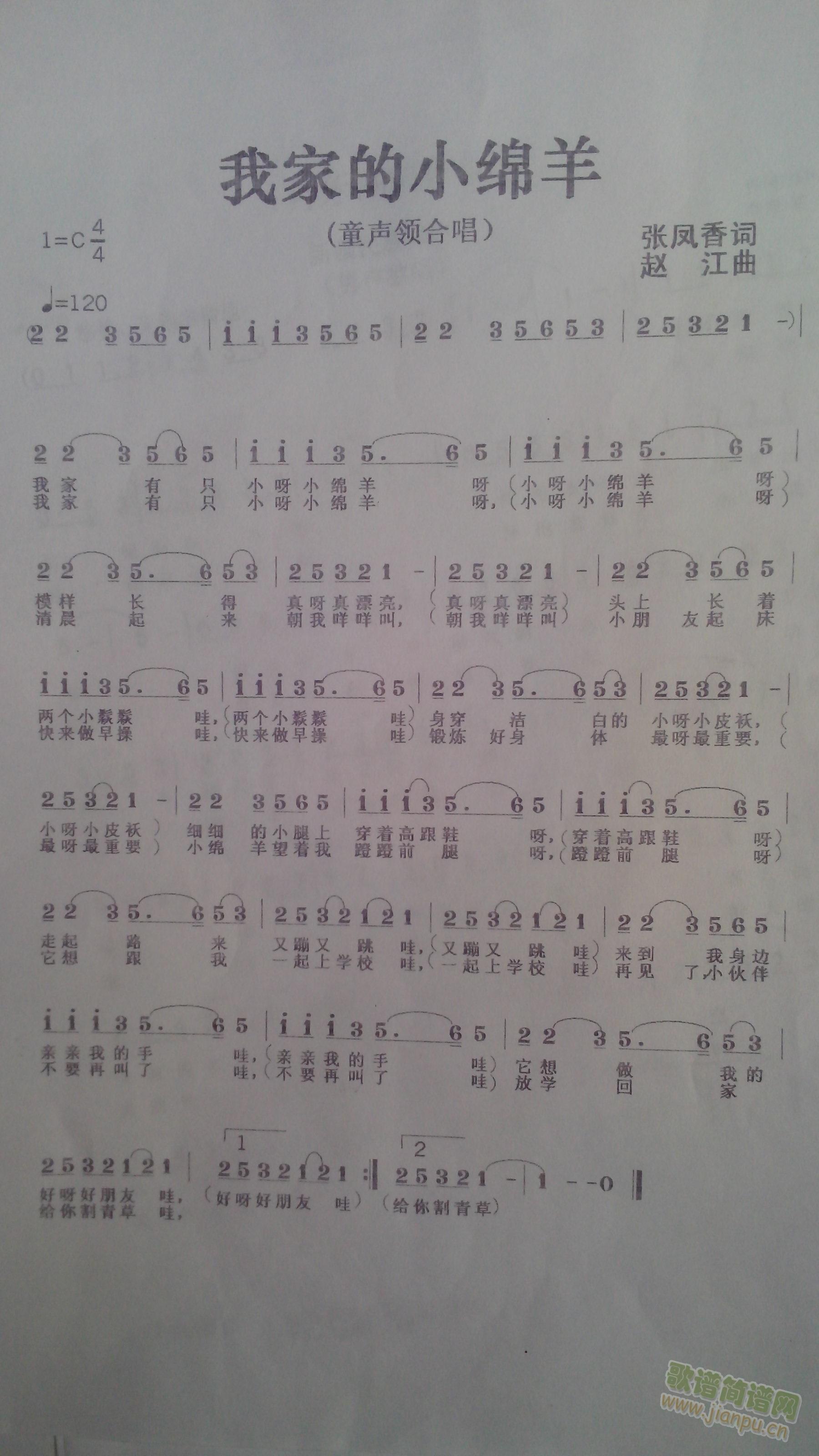 我家的小绵羊(六字歌谱)1