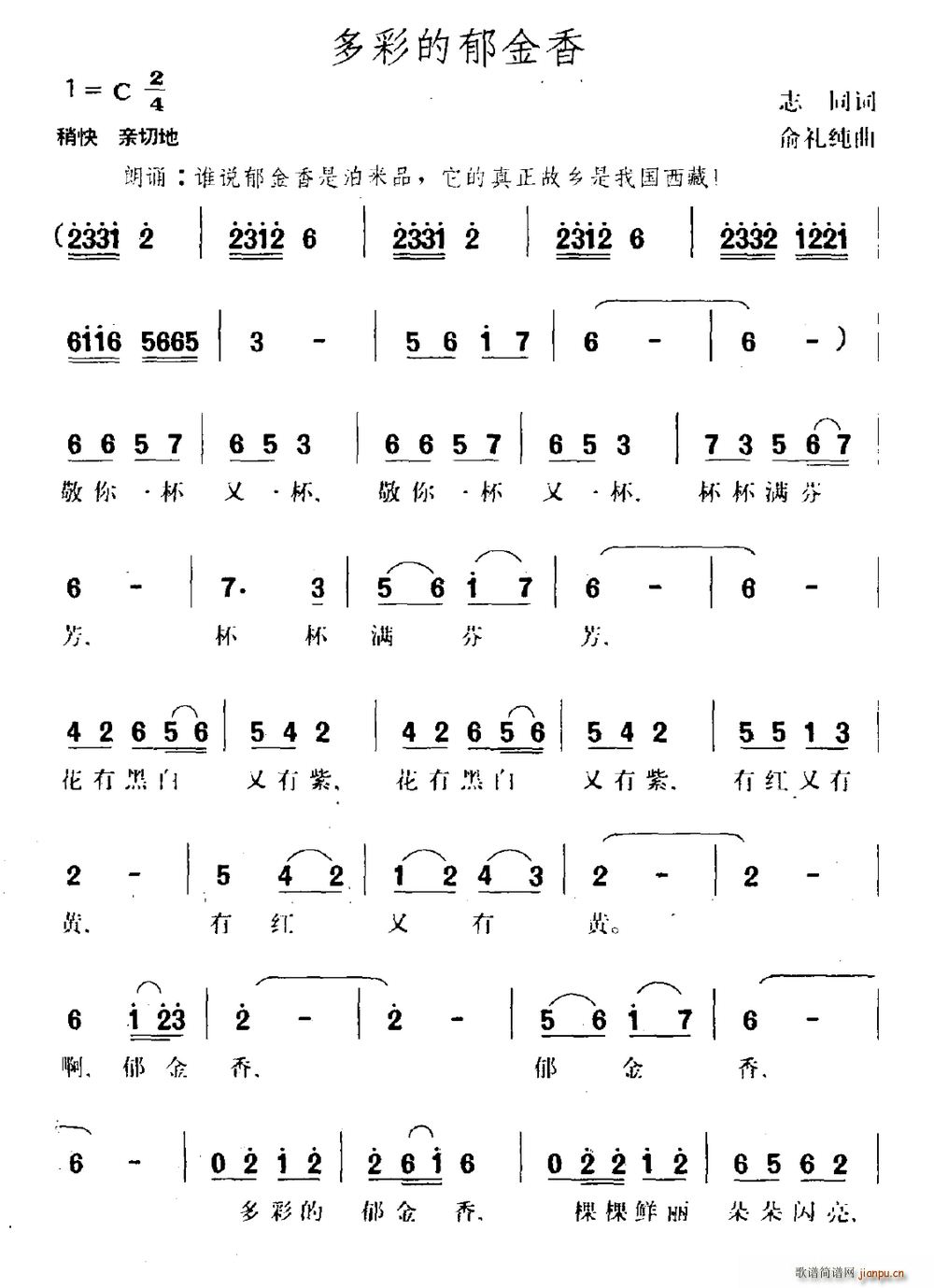 多彩的郁金香(六字歌谱)1