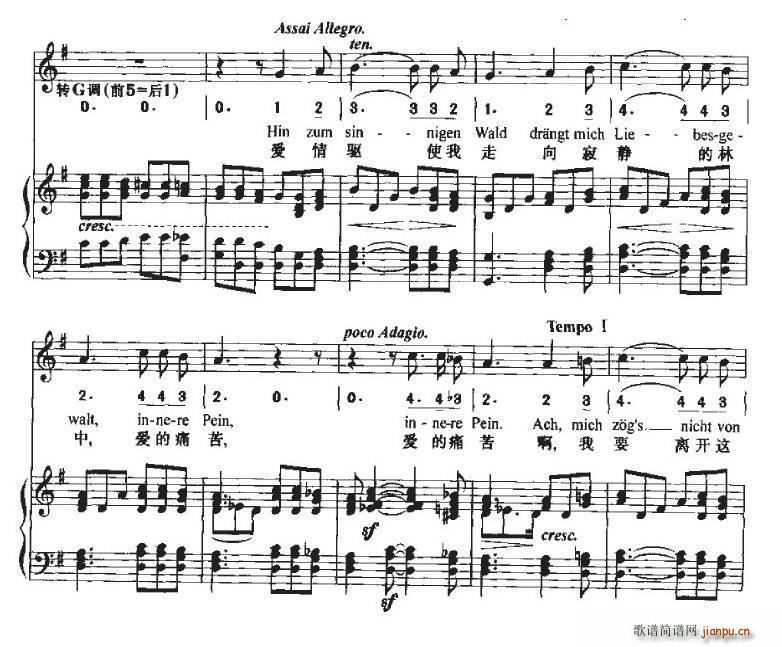 致远方的恋人(六字歌谱)10