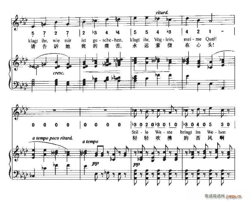 致远方的恋人(六字歌谱)15