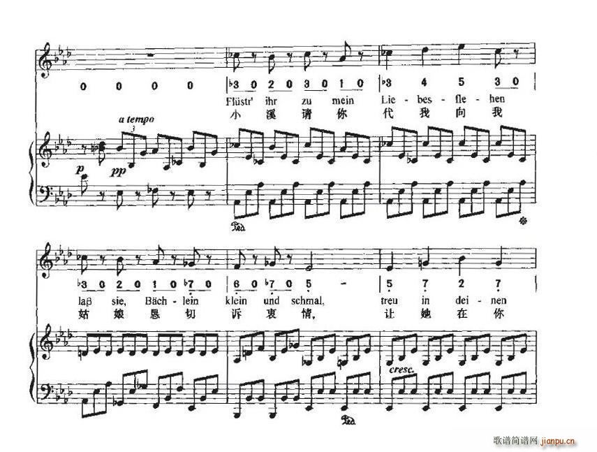 致远方的恋人(六字歌谱)17