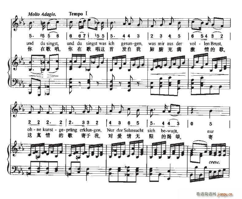 致远方的恋人(六字歌谱)33