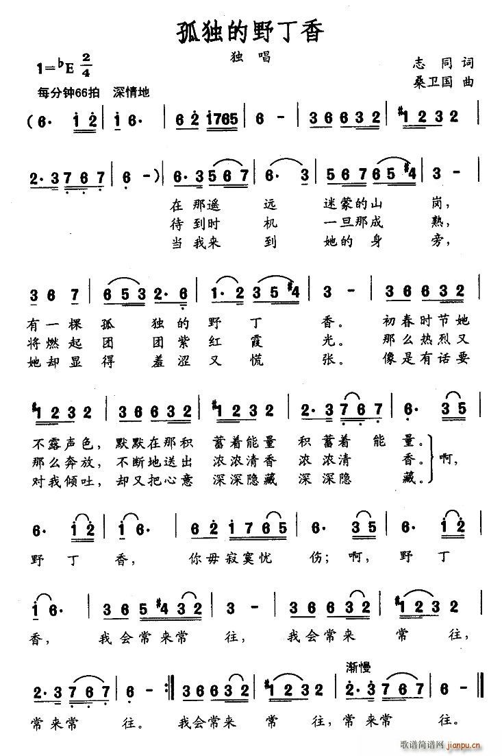 孤独的野丁香(六字歌谱)1