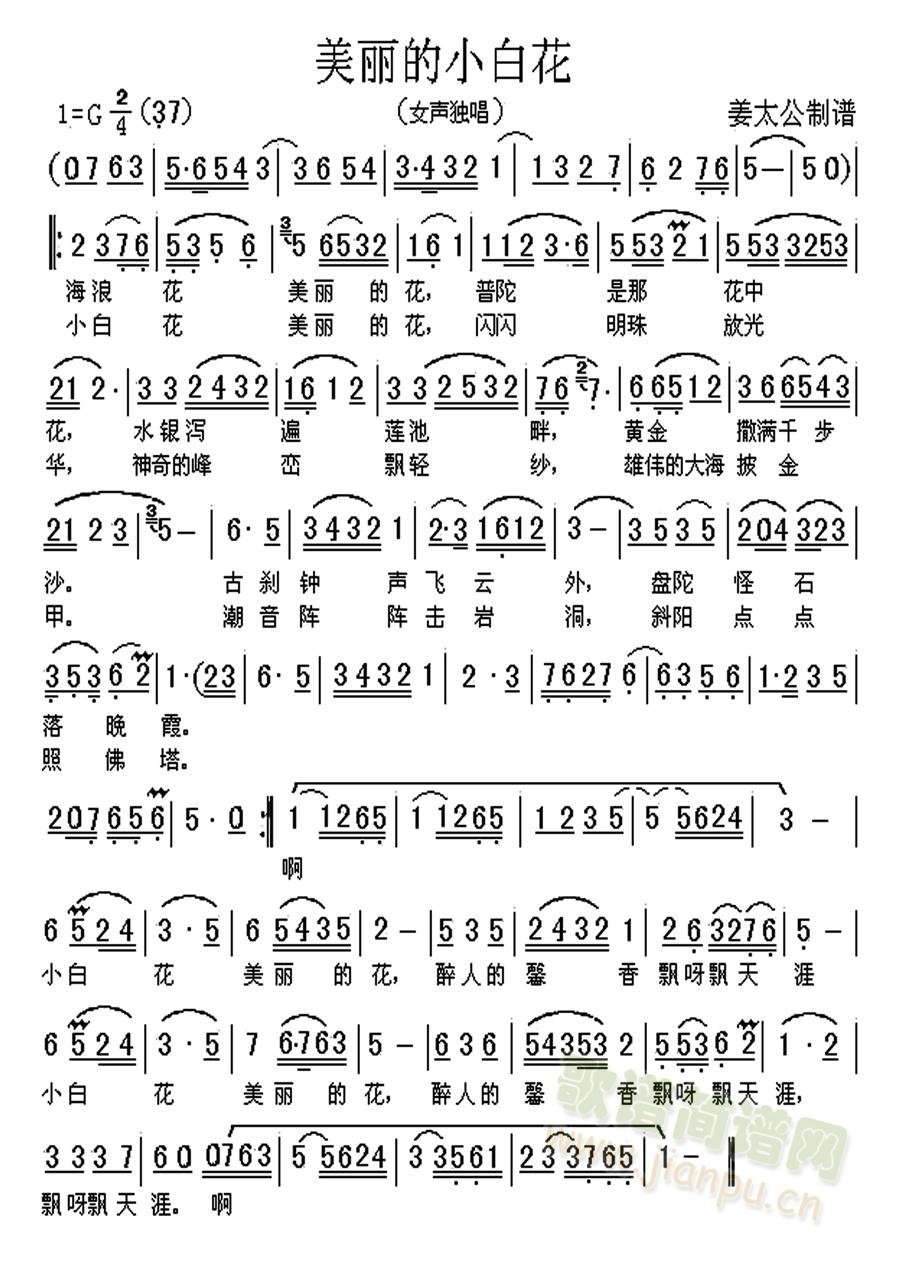 美丽的小白花(六字歌谱)1