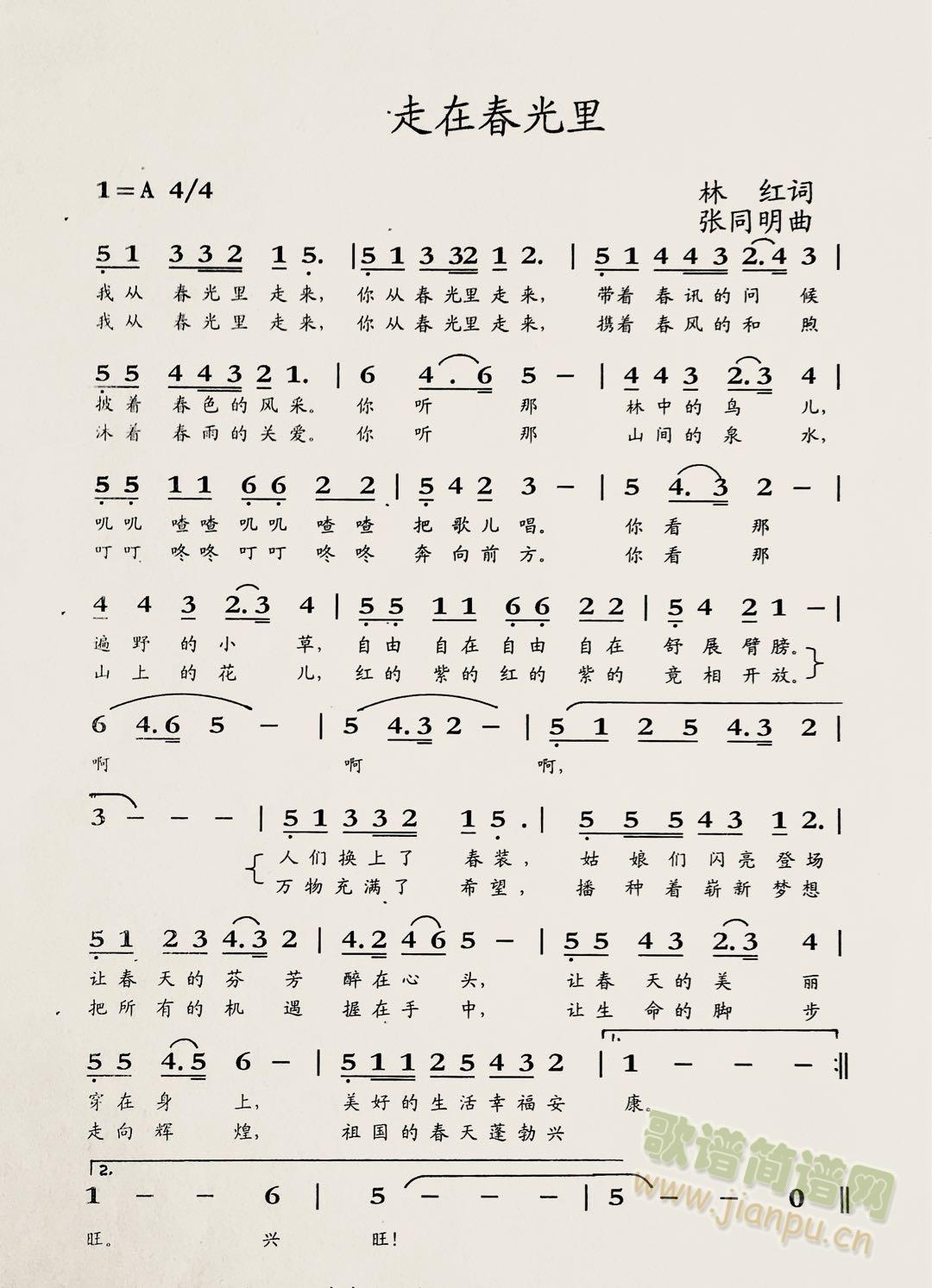 走在春光里(五字歌谱)1