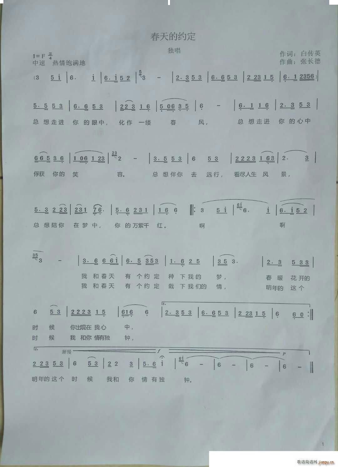 春天的约定(五字歌谱)1