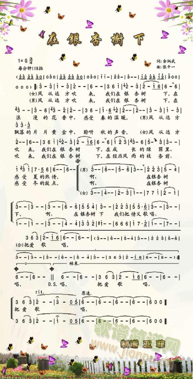 在银杏树下(五字歌谱)1
