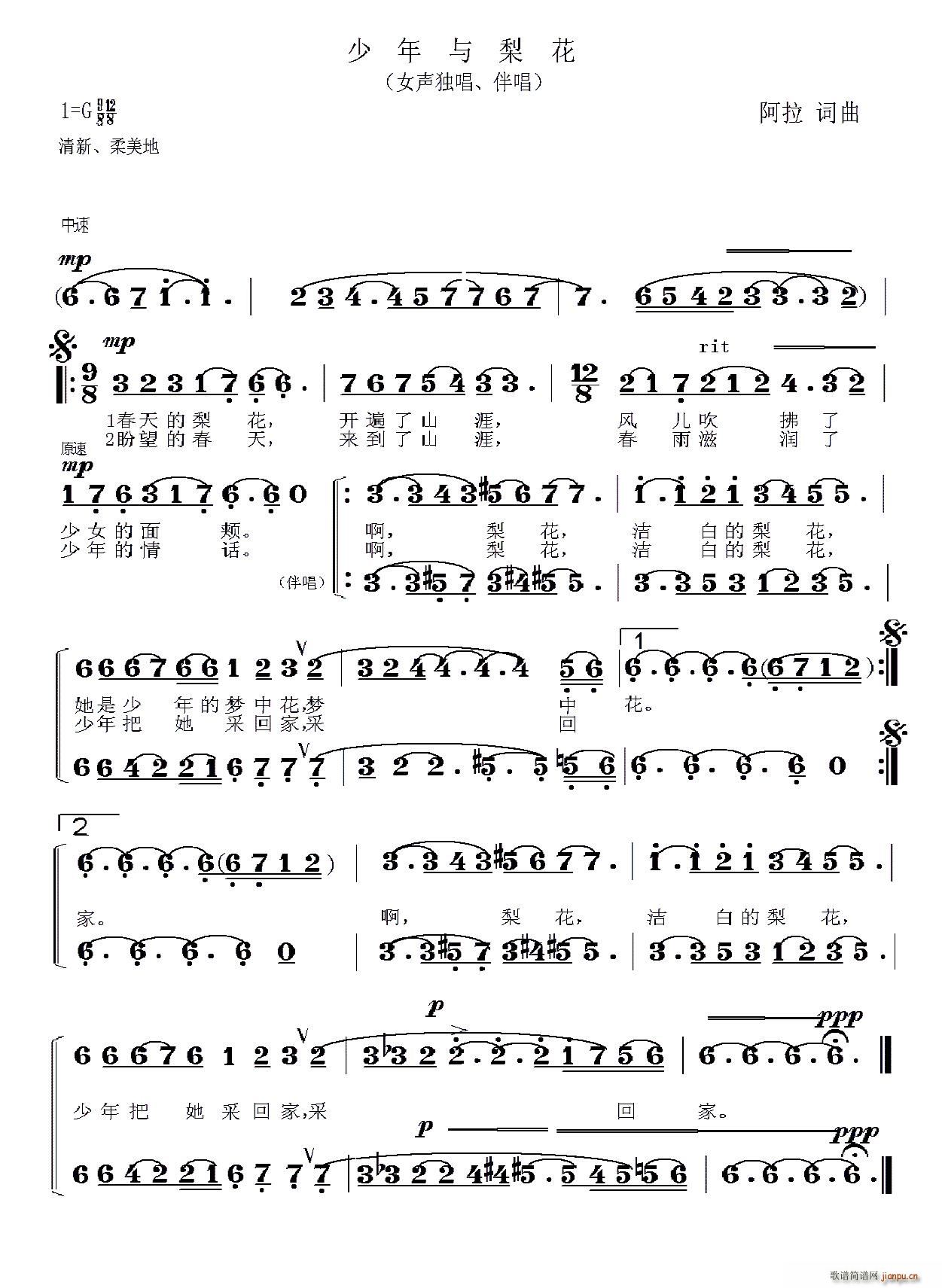 少年与梨花(五字歌谱)1