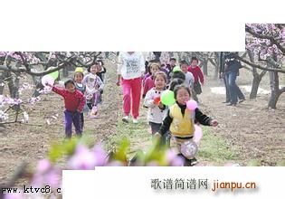 春天 编曲(五字歌谱)1