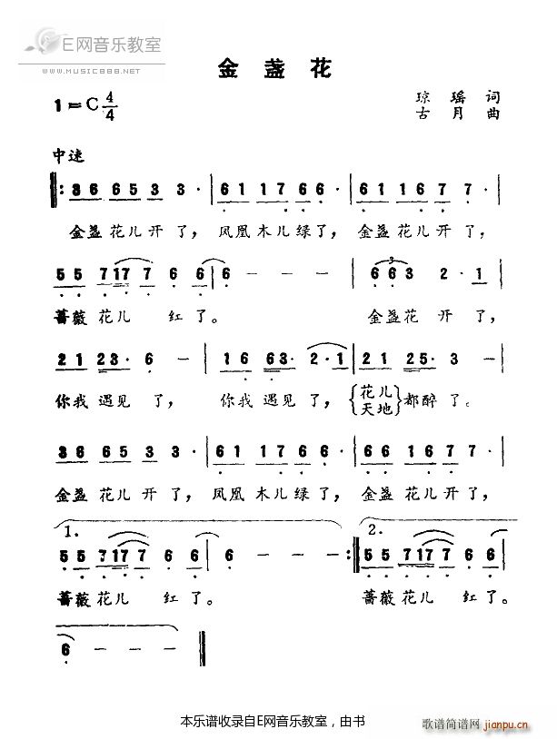 金盏花 凤飞飞(七字歌谱)1