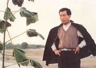 泡桐花开的时候(七字歌谱)1