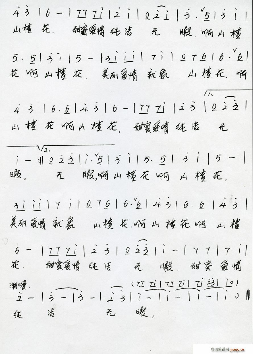 我们去看山楂花(七字歌谱)3