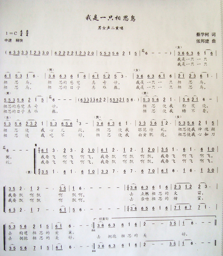 我是一只相思鸟(七字歌谱)1
