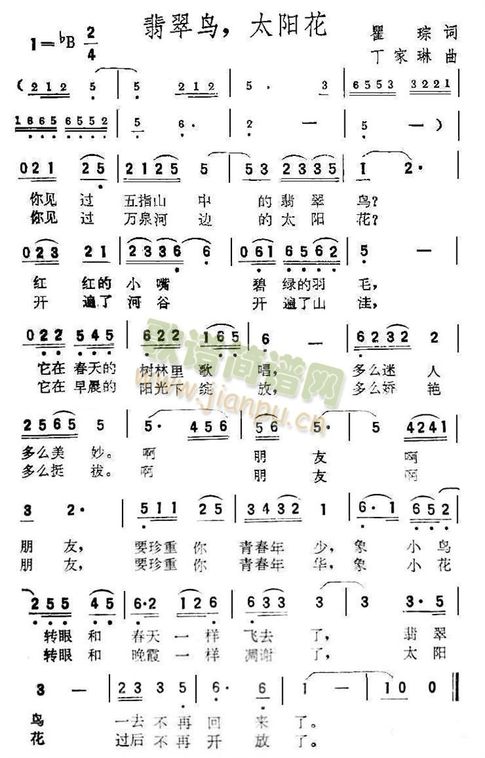 翡翠鸟，太阳花(七字歌谱)1