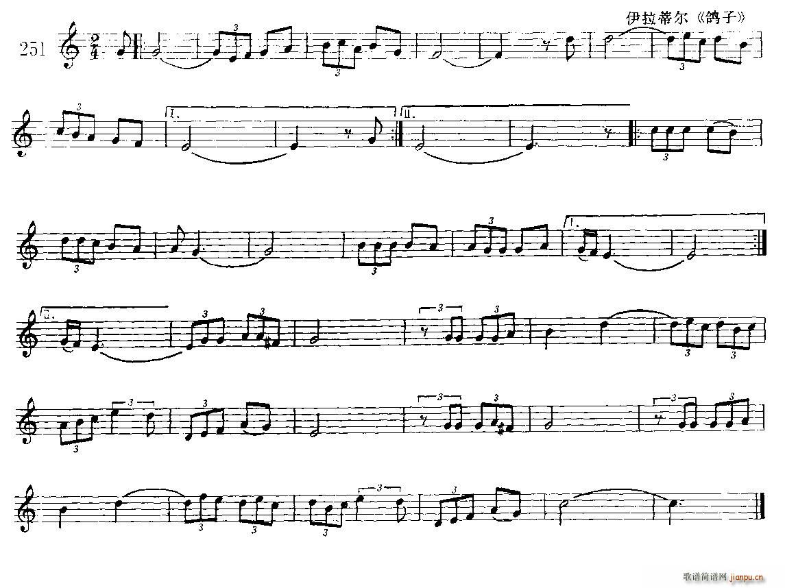 鸽子 小号(五字歌谱)1