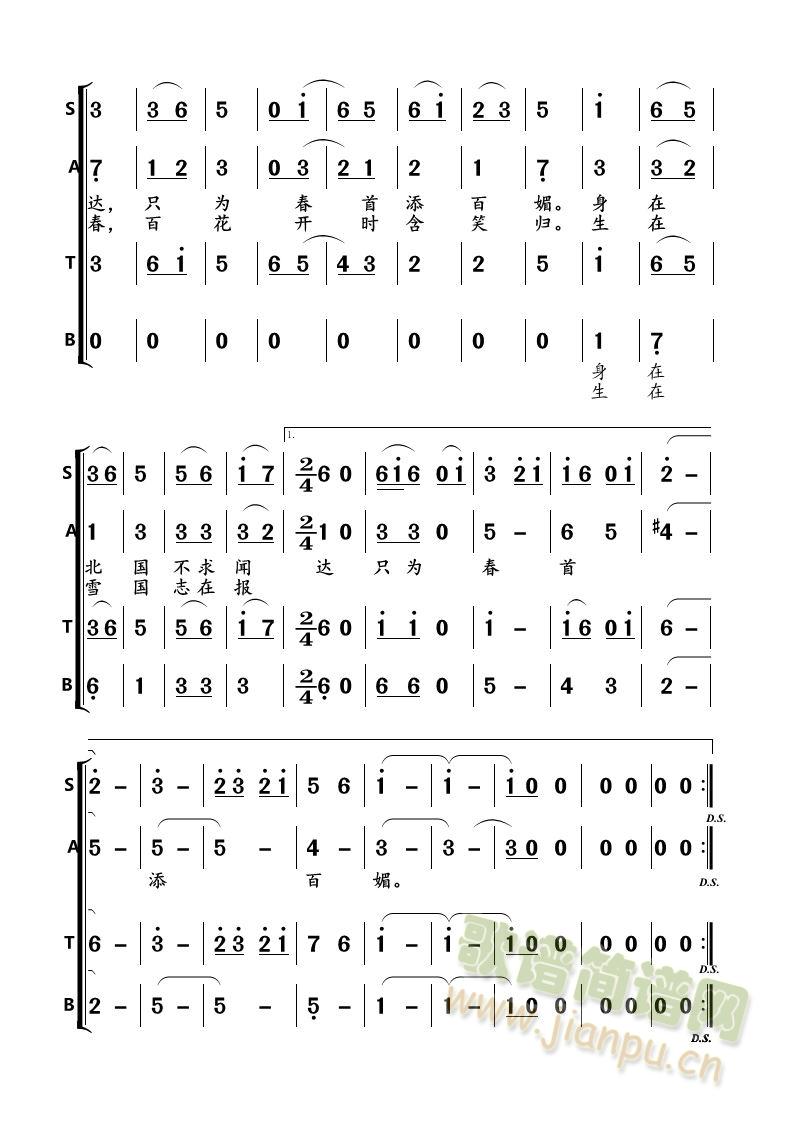 又见红梅(四字歌谱)1