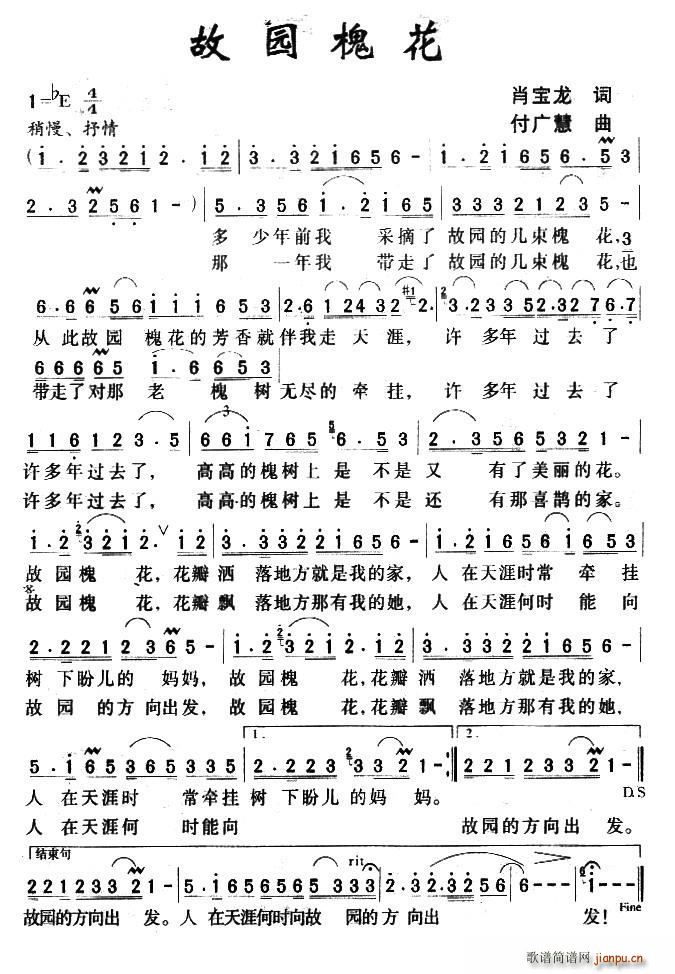 故园槐花(四字歌谱)1