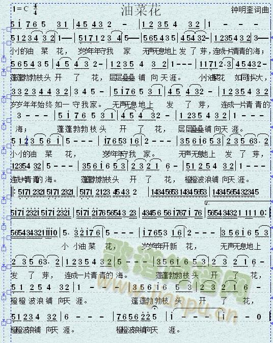 油菜花(三字歌谱)1