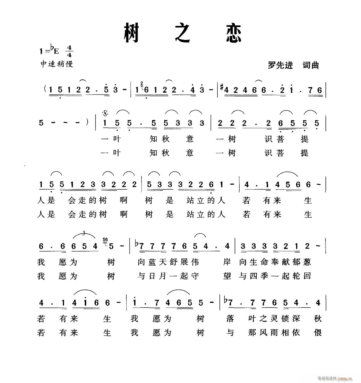 树之恋(三字歌谱)1