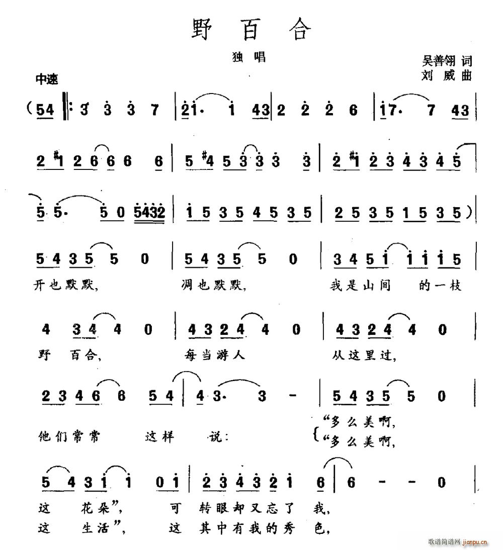 野百合(三字歌谱)1