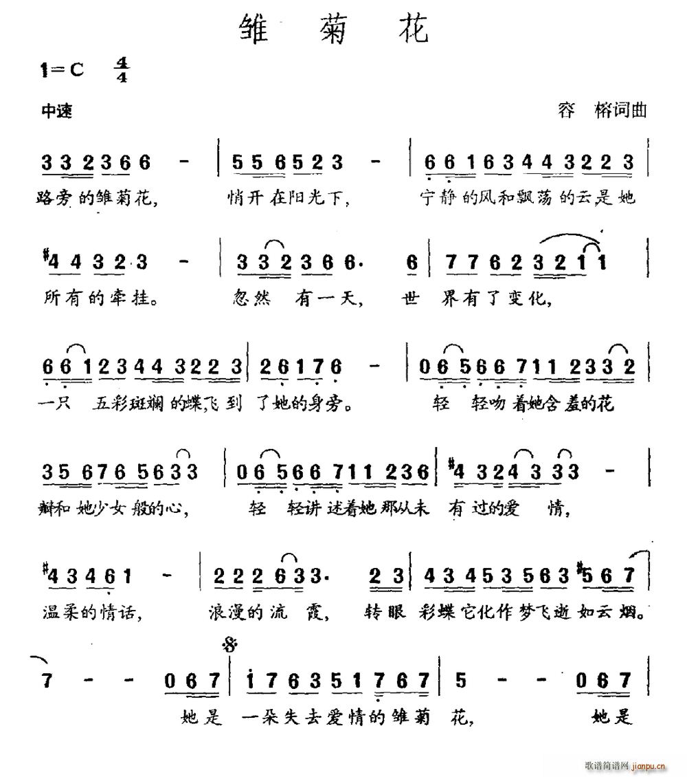 雏菊花(三字歌谱)1