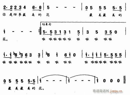 红贝蕾(三字歌谱)3