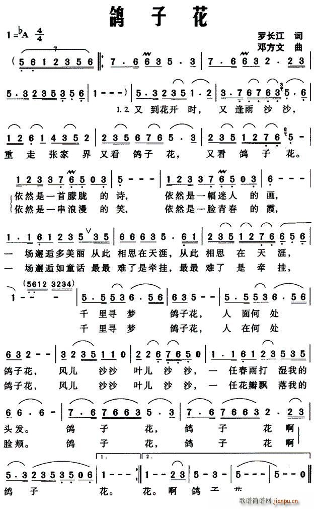 鸽子花(三字歌谱)1