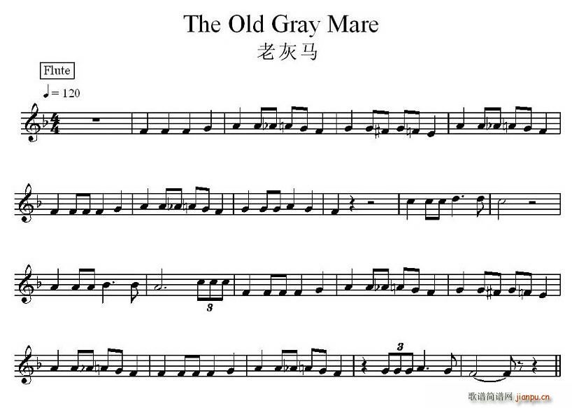 老灰马(三字歌谱)1