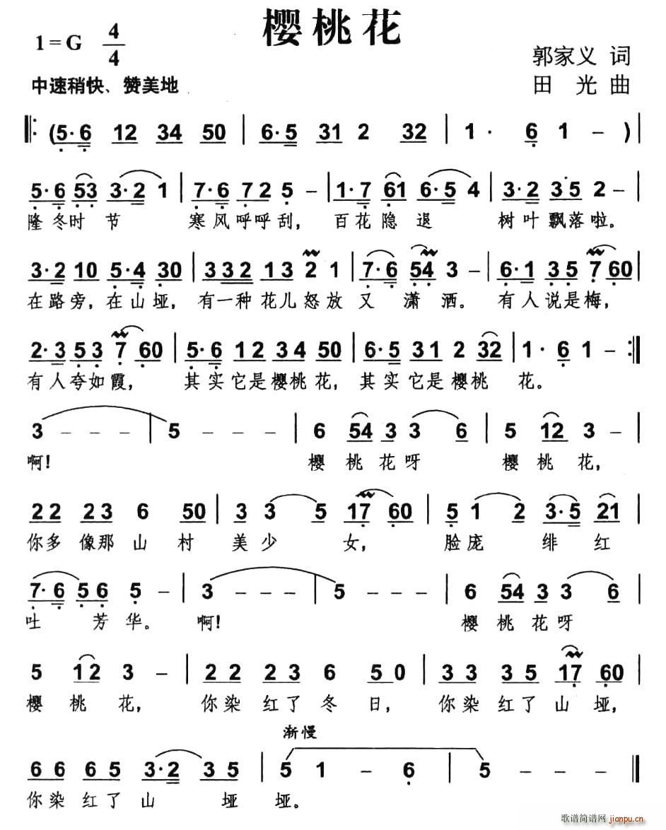 樱桃花(三字歌谱)1