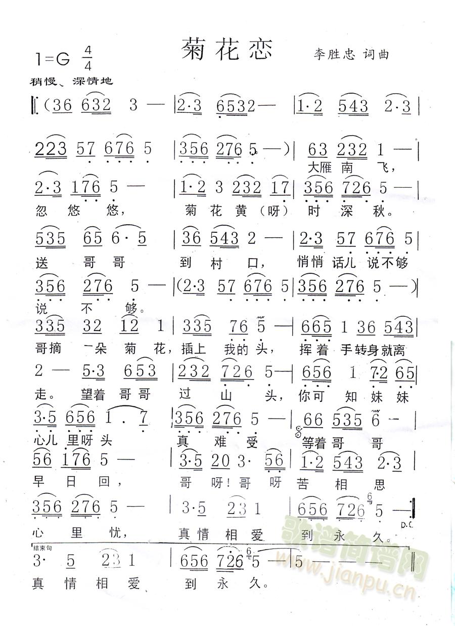 菊花恋(三字歌谱)1