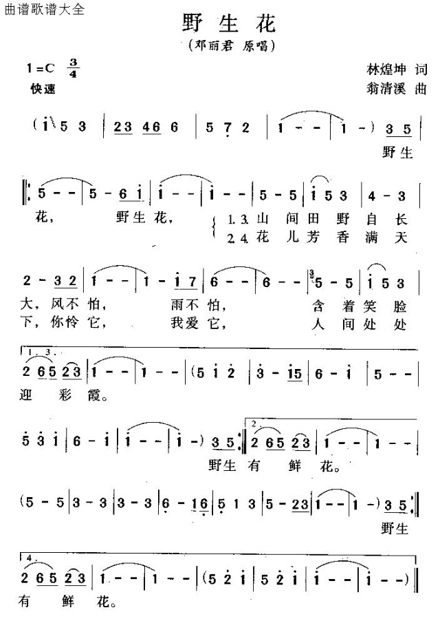 野生花(三字歌谱)1