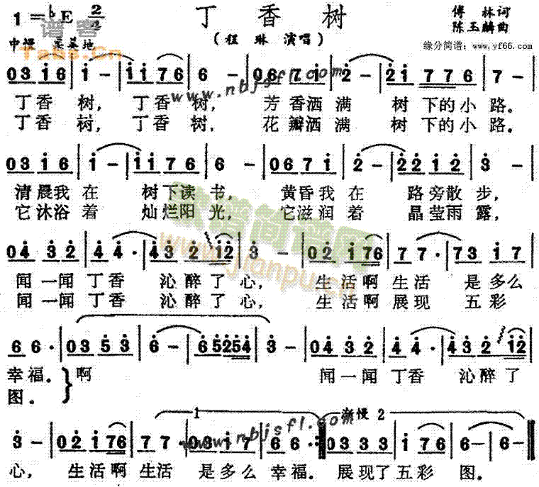 丁香树(三字歌谱)1