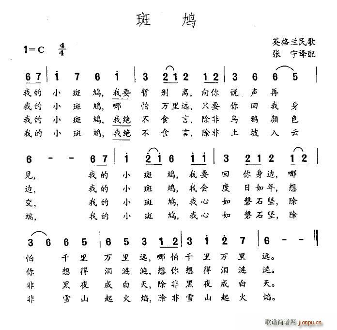 斑鸠(二字歌谱)1