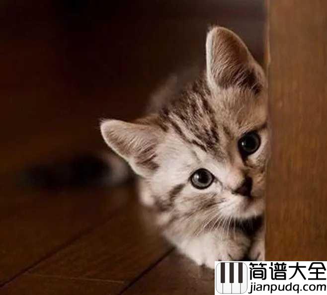 小半简谱_陈粒_纵容着喜欢的讨厌的宠溺的厌倦的一个个慢慢黯淡