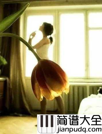 小屋简谱_赵雷_希望你拥有这样一间装满了宽恕的小屋,自在生活,随性而生