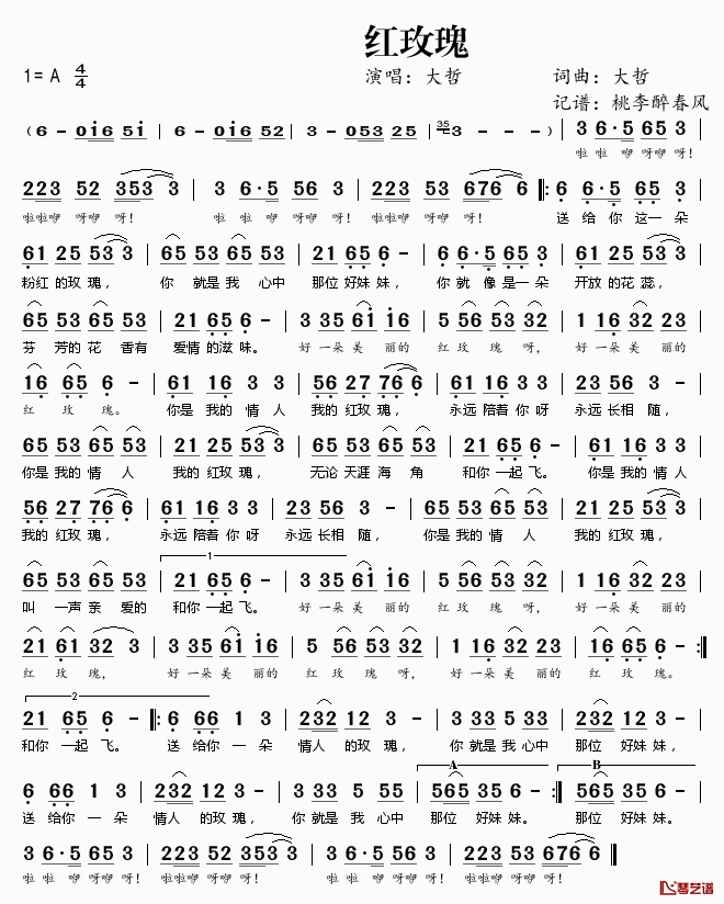 红玫瑰简谱(歌词)_大哲演唱_桃李醉春风记谱