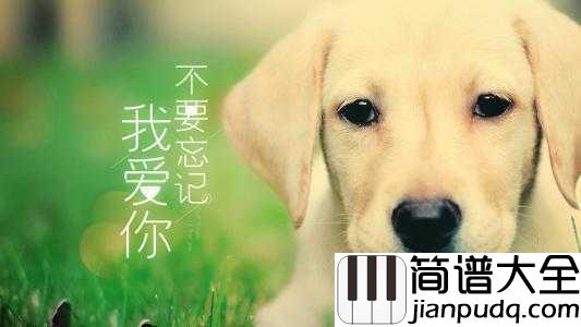 不要忘记我爱你简谱__张碧晨__我爱你，我希望你可以陪我久一点。