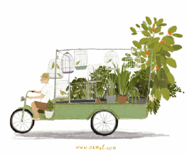 青柠简谱_徐秉龙&桃十五_巧克力里面还可能加入什么奇怪的元素