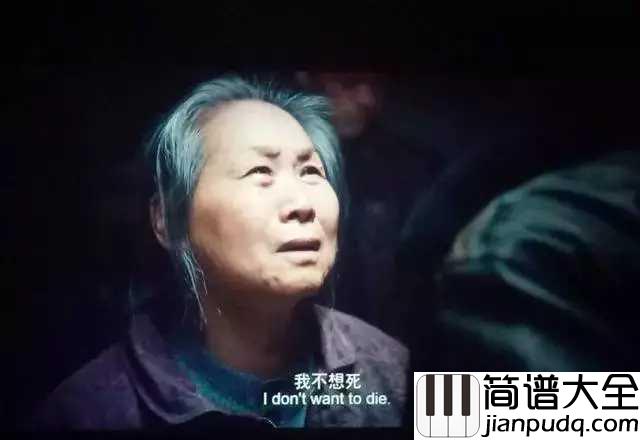 生如夏花简谱_朴树_生如夏花之绚烂，死若秋叶之静美