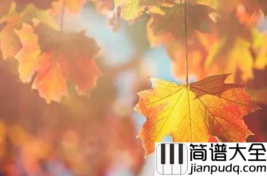 秋意浓简谱_李幸倪_秋意浓，霜叶与秋风起舞