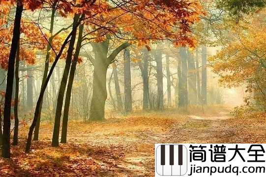 秋意浓简谱_李幸倪_秋意浓，霜叶与秋风起舞