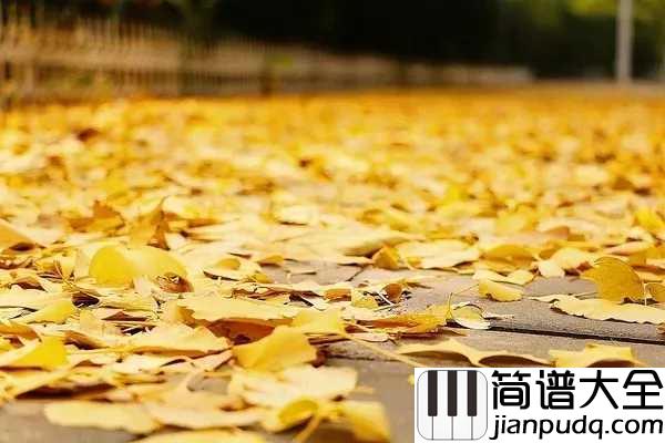 秋日恋歌简谱_水木年华_秋的美在于你不负它的微凉