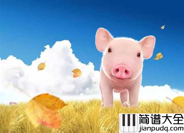 猪之歌简谱_香香_猪头猪脑猪身猪尾巴，从来不挑食的乖娃娃