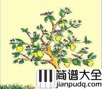 Lemon_Tree柠檬树简谱_苏慧伦_一秒带你回到恋爱的夏天