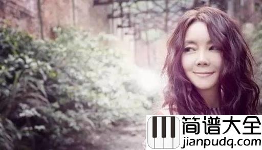 领悟简谱_辛晓琪_经历了全部才懂得明白，这是多么痛的领悟